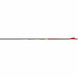 Tubo carbono Velocity Hunter (12 Pack) GOLD TIP