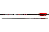 Flecha Carbono ID4.2 Novice SKYLON