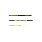 Tubo carbono D-Stroyer (12 Pack) CARBON EXPRESS