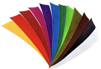 Pluma Natural Escudo 5" RW (50 Pack) BEARPAW