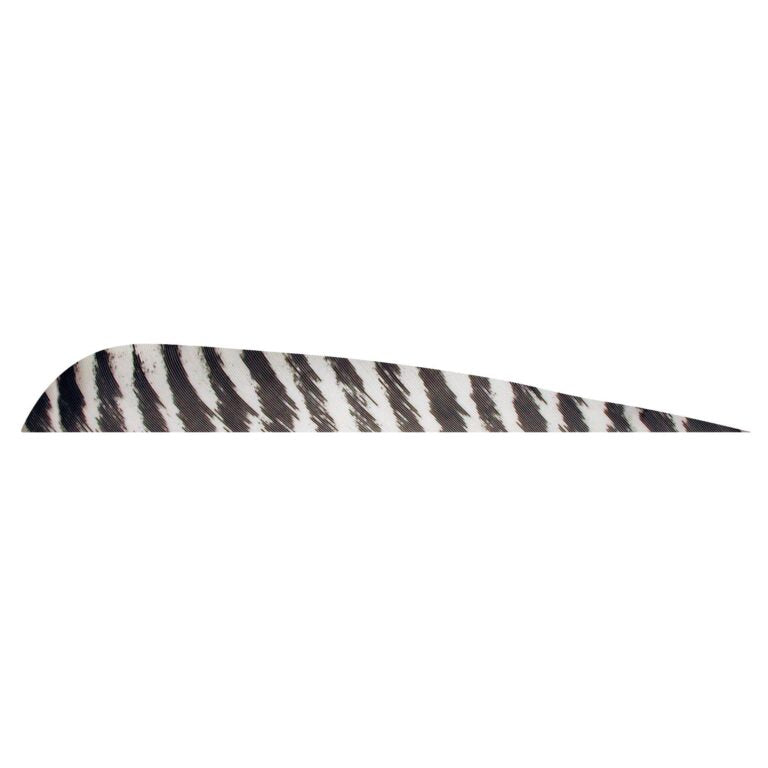 Pluma Natural Parabolica Barrada 5" RW GATEWAY