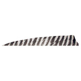Pluma Natural Escudo Barrada 4" RW GATEWAY
