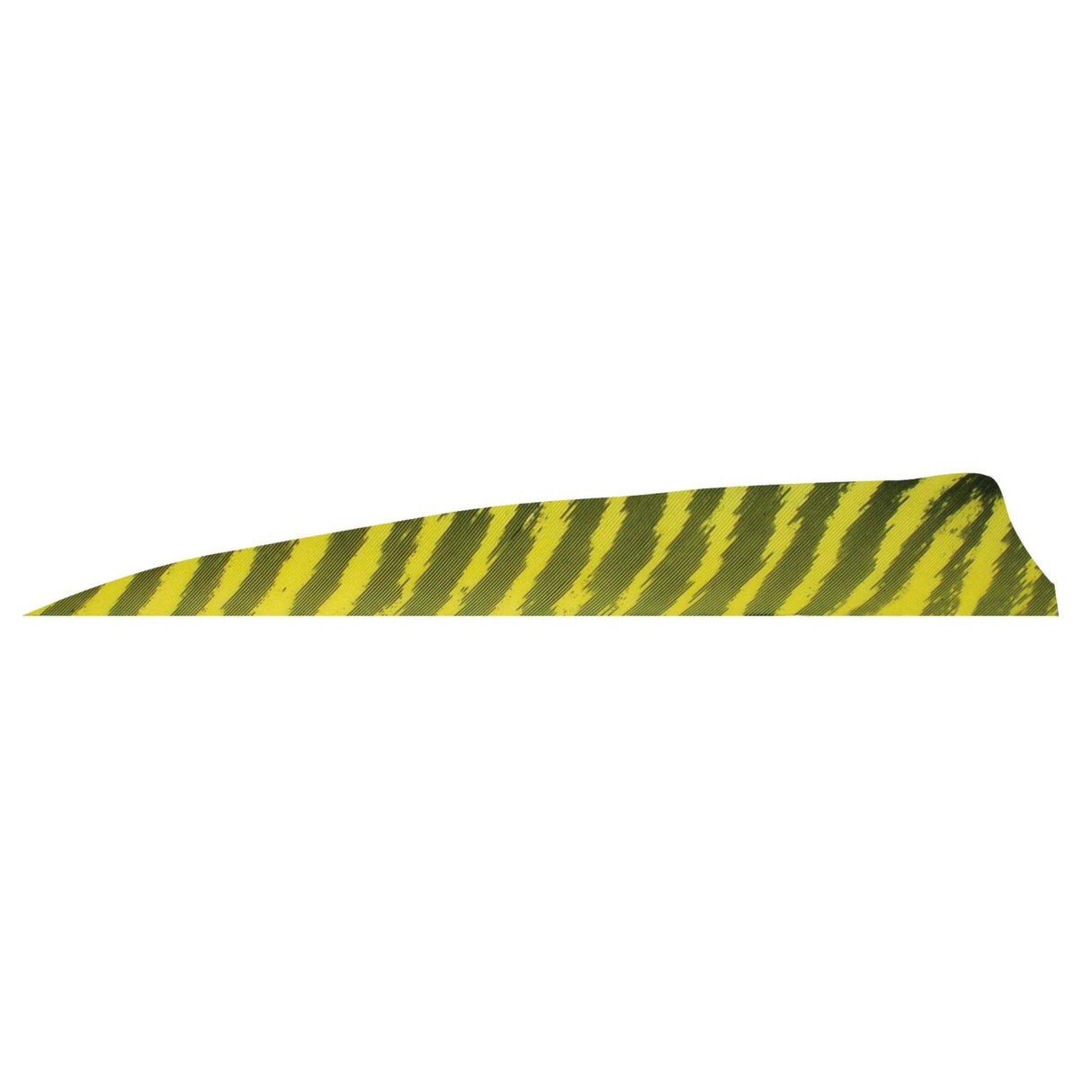 Pluma Natural Escudo Barrada 4" RW GATEWAY