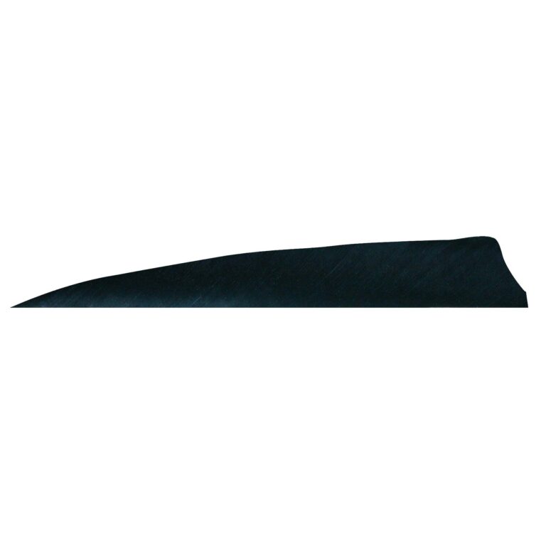Pluma Natural Escudo 4" RW GATEWAY