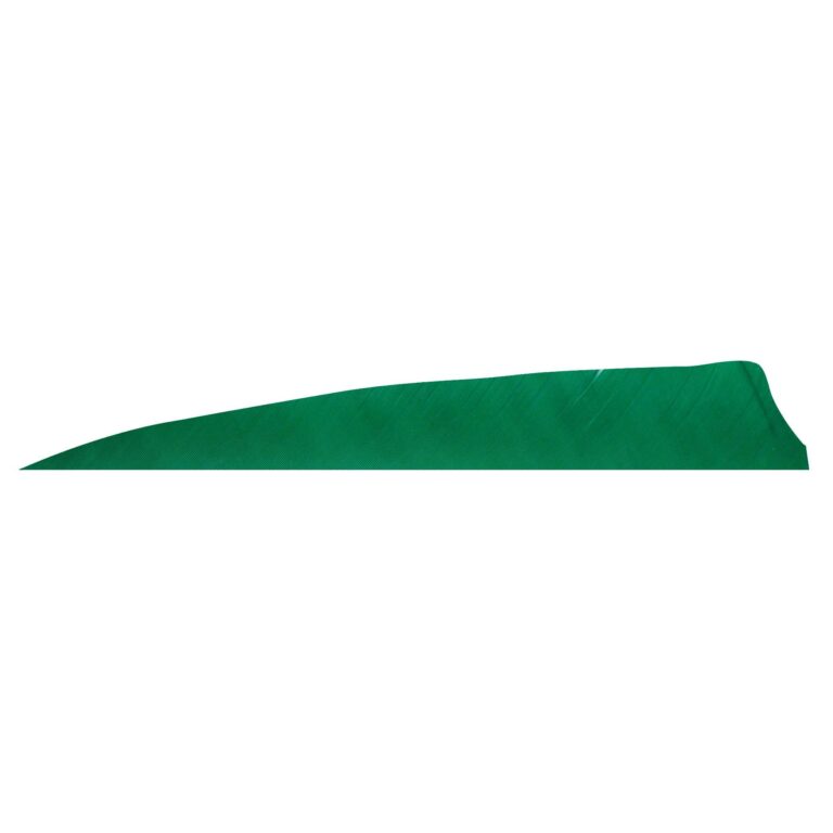 Pluma Natural Escudo 4" RW GATEWAY