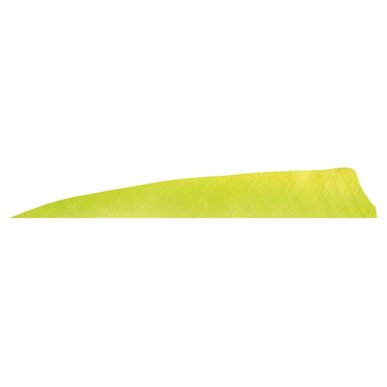 Pluma Natural Escudo 4" RW GATEWAY