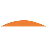 Pluma Natural Banana RW 5.5″ GATEWAY